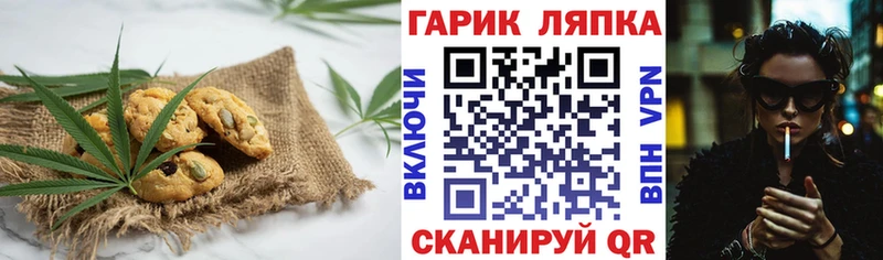 дарнет шоп  Яровое  Cannafood конопля 