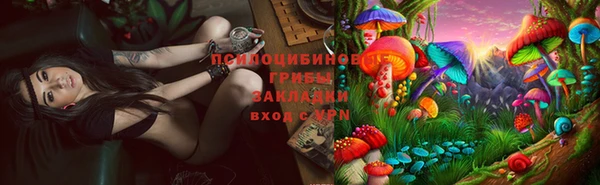 дживик Заводоуковск
