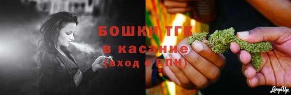 дживик Заводоуковск