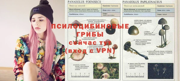 хмурый Заволжье