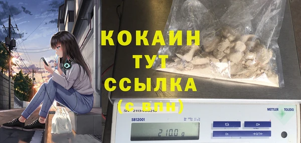 дживик Заводоуковск