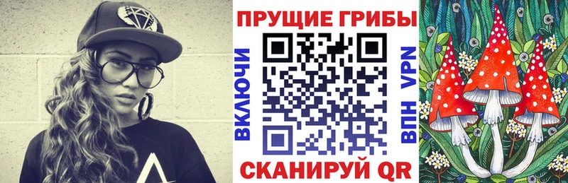 hydra вход  Яровое  Галлюциногенные грибы мицелий 